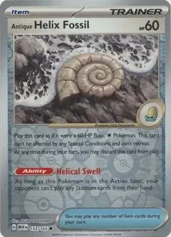 Antique Helix Fossil