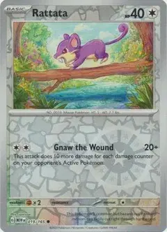 Rattata
